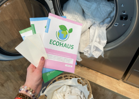 Projekt EcoHaus